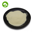 10% 80% Ginsenosides panax ginseng extract powder